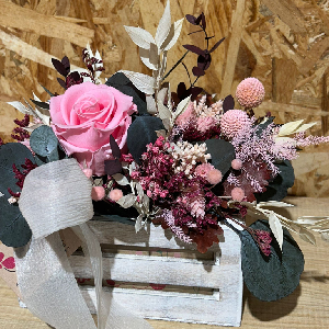 Inicio 5 categoria seco